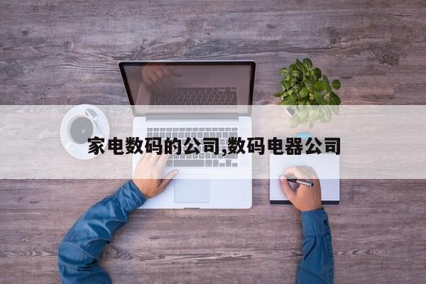 家电数码的公司,数码电器公司