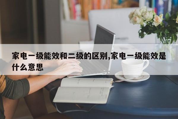 家电一级能效和二级的区别,家电一级能效是什么意思
